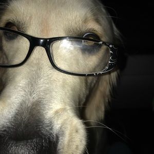 Meet your Posher, Sue